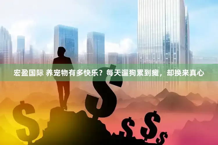宏盈国际 养宠物有多快乐？每天遛狗累到瘫，却换来真心