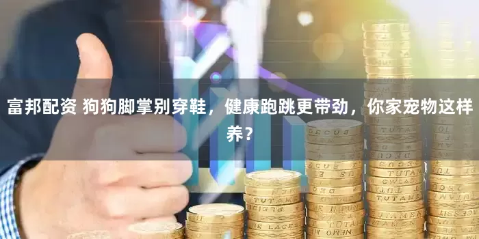 富邦配资 狗狗脚掌别穿鞋，健康跑跳更带劲，你家宠物这样养？