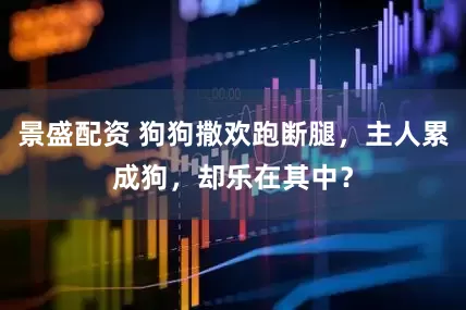 景盛配资 狗狗撒欢跑断腿，主人累成狗，却乐在其中？
