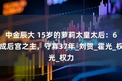 中金辰大 15岁的萝莉太皇太后：6岁成后宫之主，守寡37年_刘贺_霍光_权力