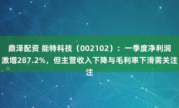 鼎泽配资 能特科技（002102）：一季度净利润激增287.2%，但主营收入下降与毛利率下滑需关注