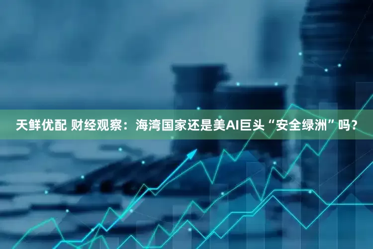 天鲜优配 财经观察：海湾国家还是美AI巨头“安全绿洲”吗？